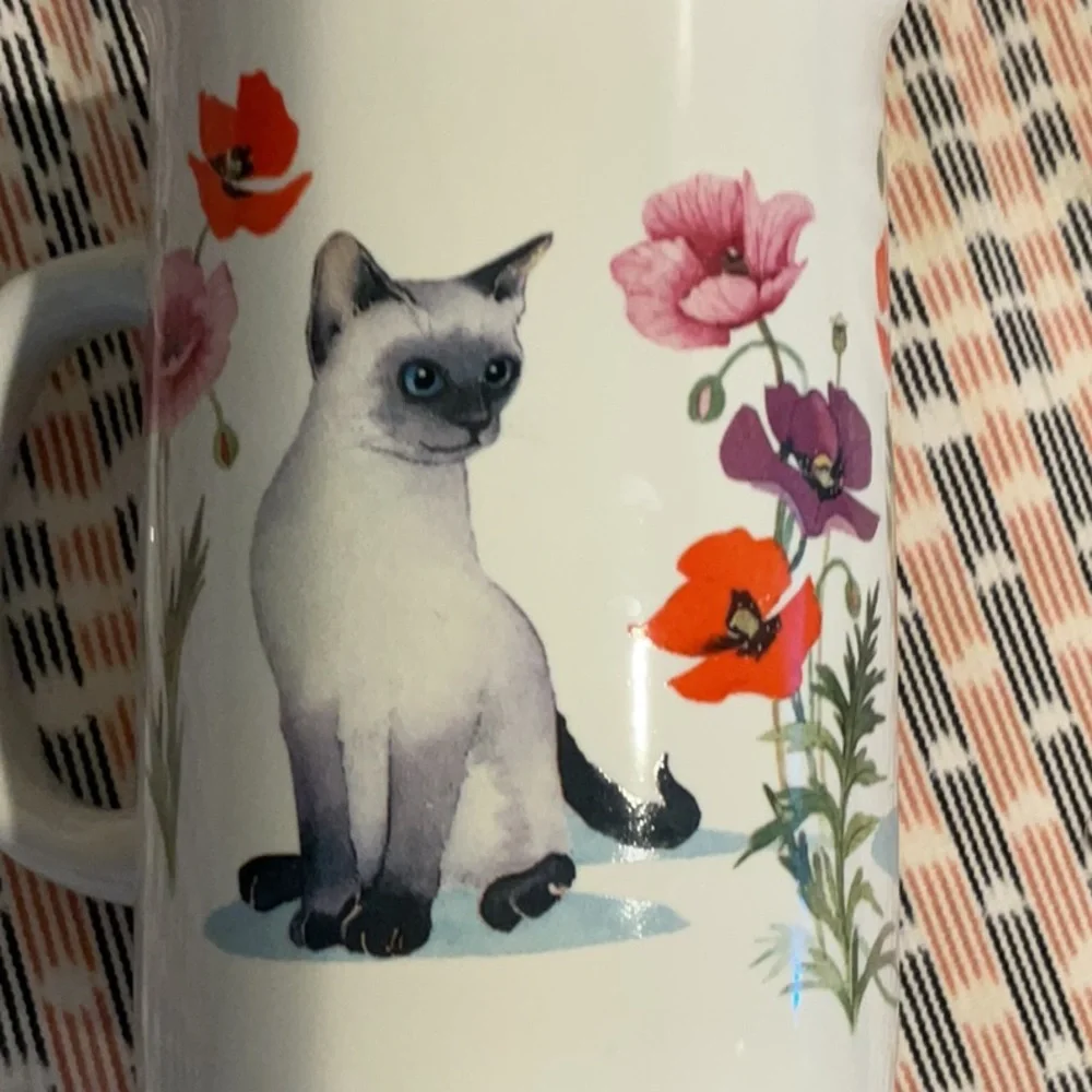 Felines - Picture 2 of 4